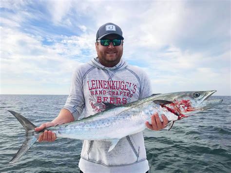  King Mackerel: Un pez migratorio que se caracteriza por sus escalas plateadas brillantes! 