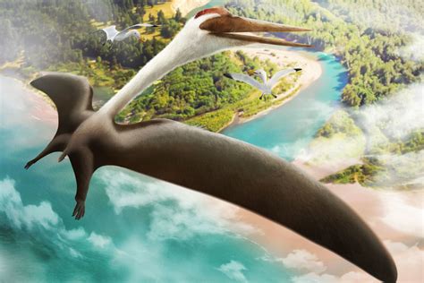  ¡Qué Quetzalcoatlus! Un Gigante con Alas que Voló en el Cretácico